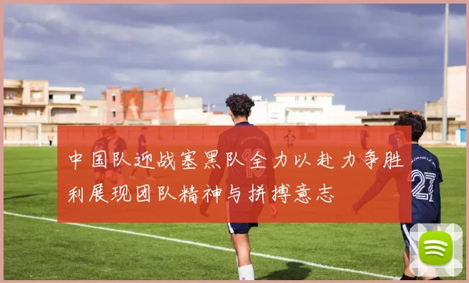 中国队迎战塞黑队全力以赴力争胜利展现团队精神与拼搏意志