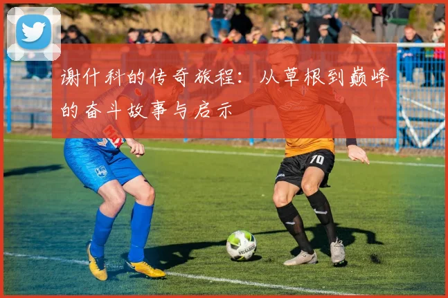谢什科的传奇旅程：从草根到巅峰的奋斗故事与启示
