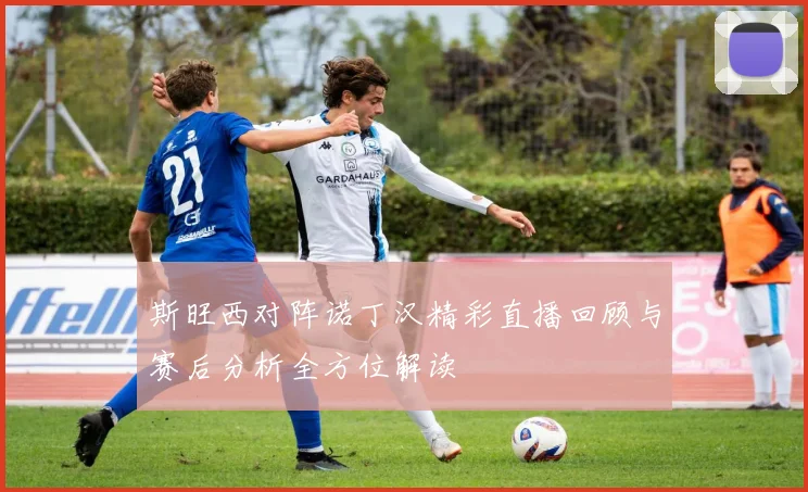 斯旺西对阵诺丁汉精彩直播回顾与赛后分析全方位解读