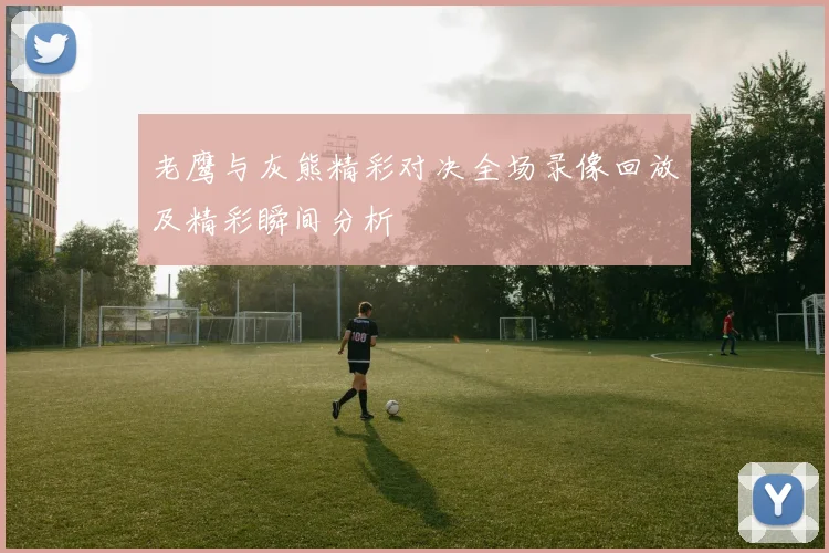 老鹰与灰熊精彩对决全场录像回放及精彩瞬间分析